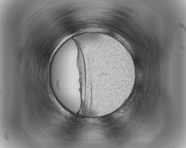 X0000096420852200802141632