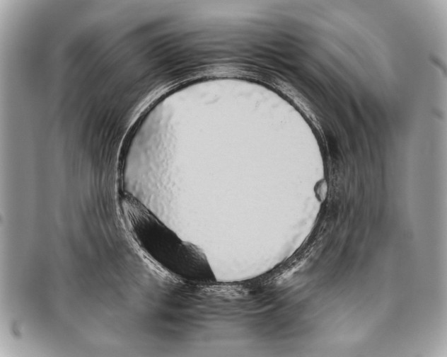 X0000096420853200802141632