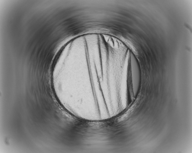 X0000096420854200802141632