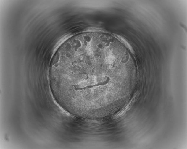 X0000096420855200802141632