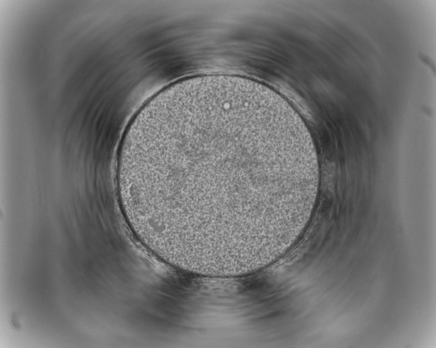 X0000096420856200802141632