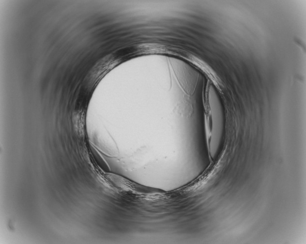 X0000096420857200802141632