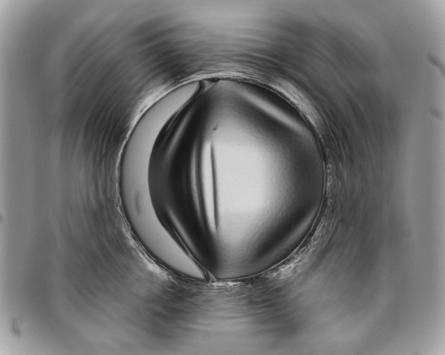 X0000096420858200802141632