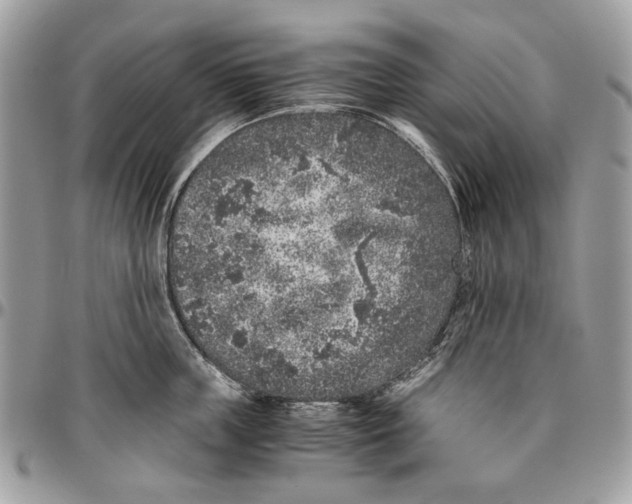 X0000096420859200802141632