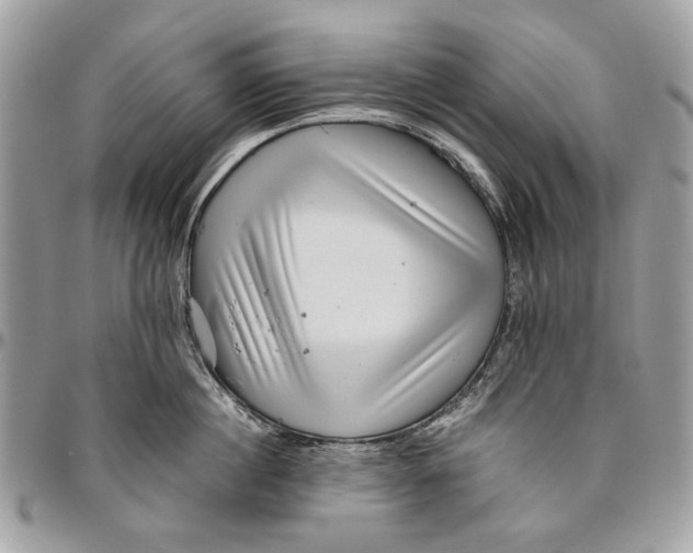 X0000096420860200802141632