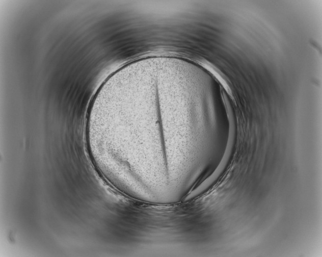 X0000096420861200802141632