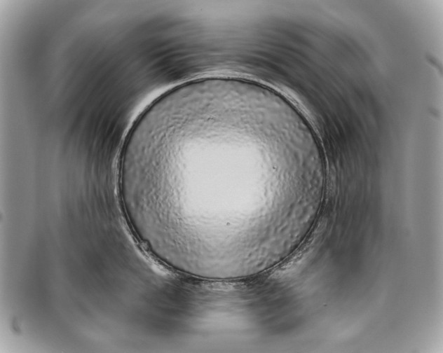 X0000096420862200802141632