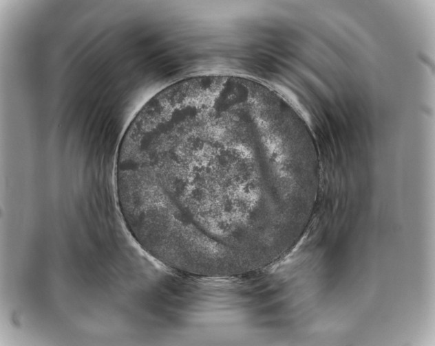 X0000096420863200802141633