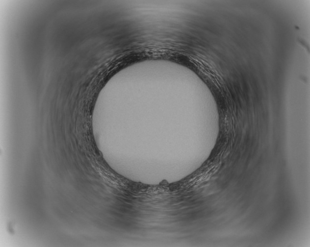 X0000096420865200802141632