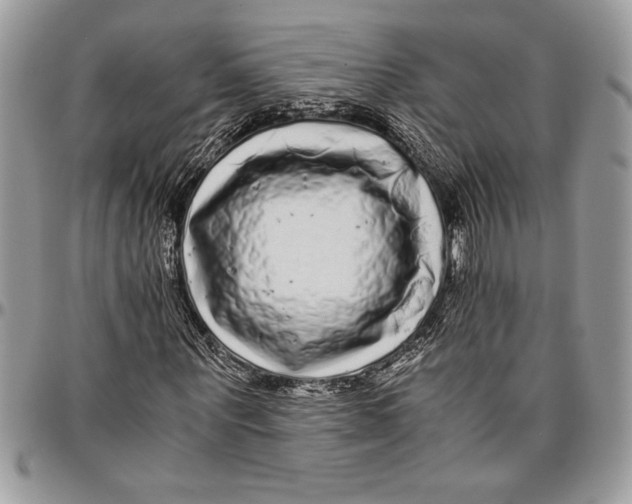 X0000096420867200802141632