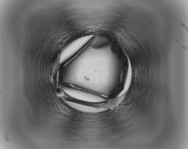 X0000096420868200802141632