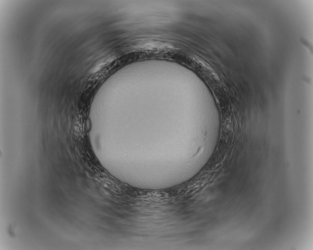 X0000096420869200802141632