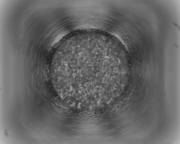 X0000096420871200802141632