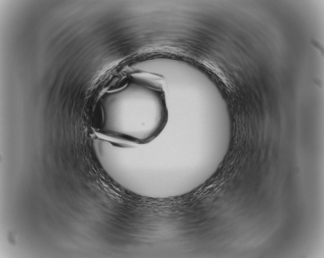 X0000096420872200802141632