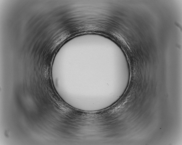 X0000096420873200802141632