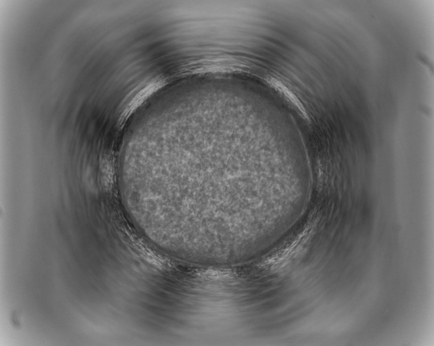 X0000096420874200802141632