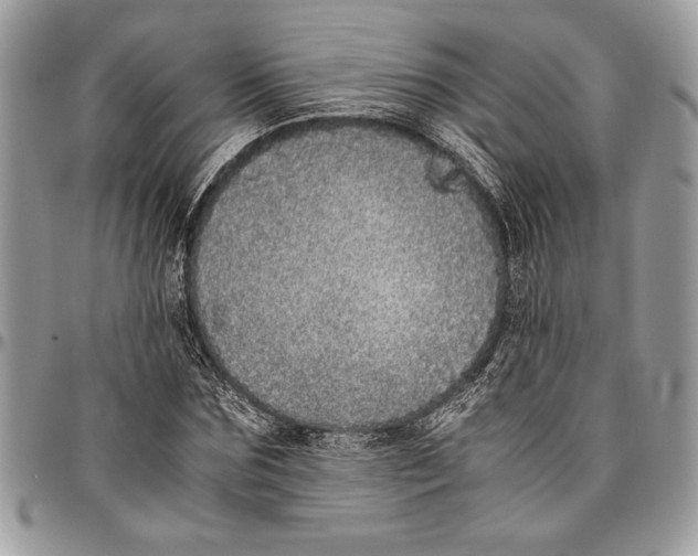 X0000096420875200802141632