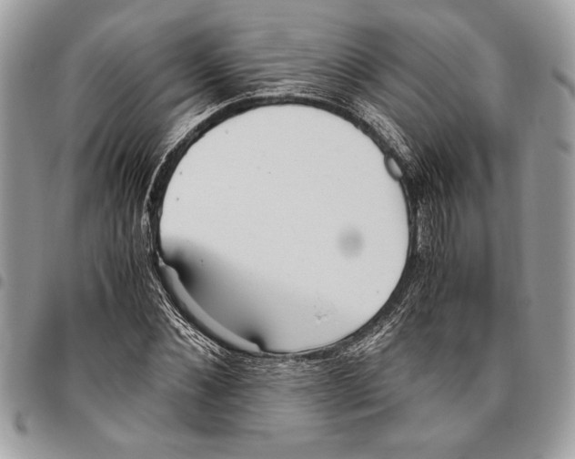 X0000096420876200802141632