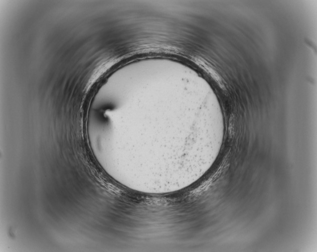 X0000096420877200802141632