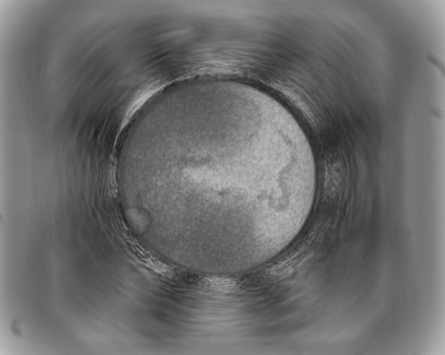 X0000096420878200802141632