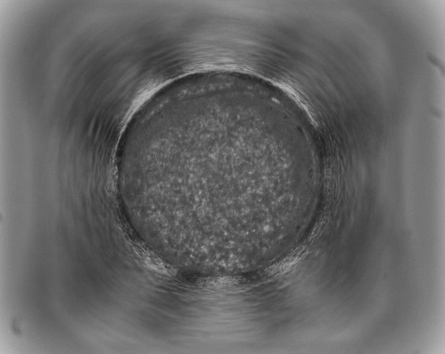 X0000096420879200802141632