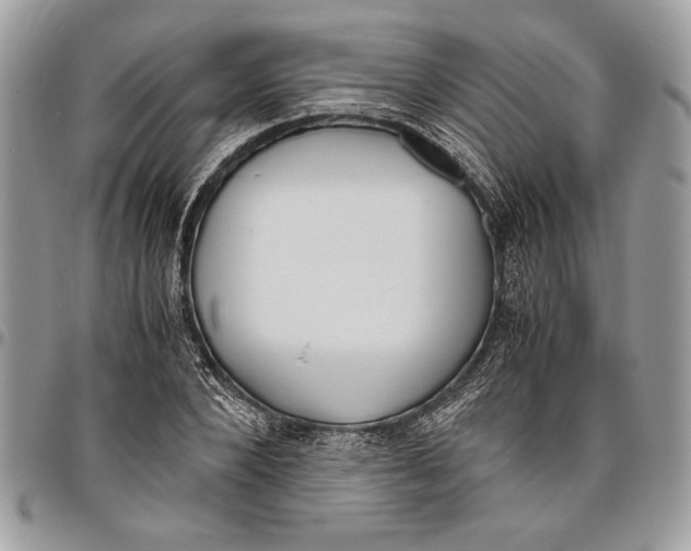 X0000096420880200802141632