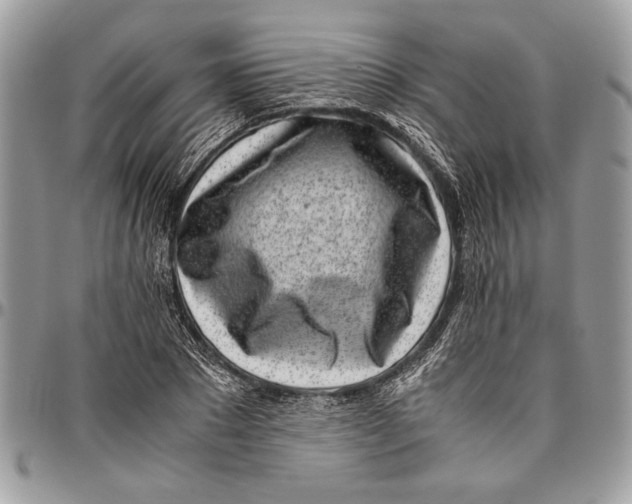 X0000096420881200802141632