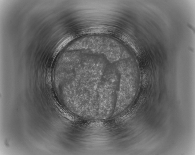 X0000096420882200802141632