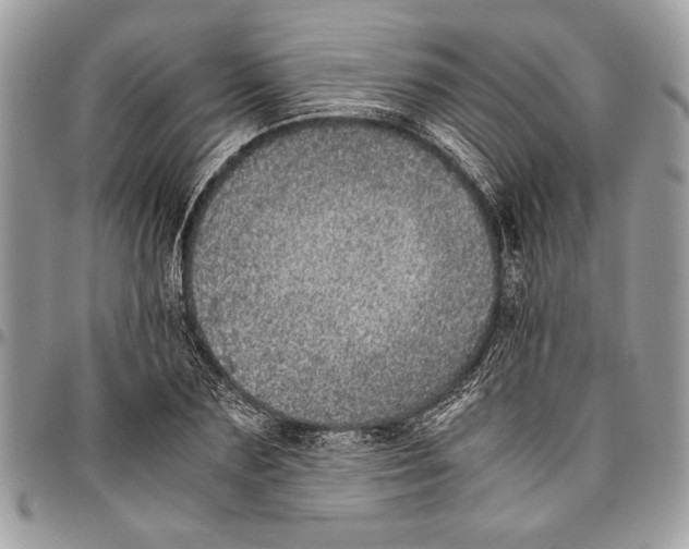 X0000096420883200802141632