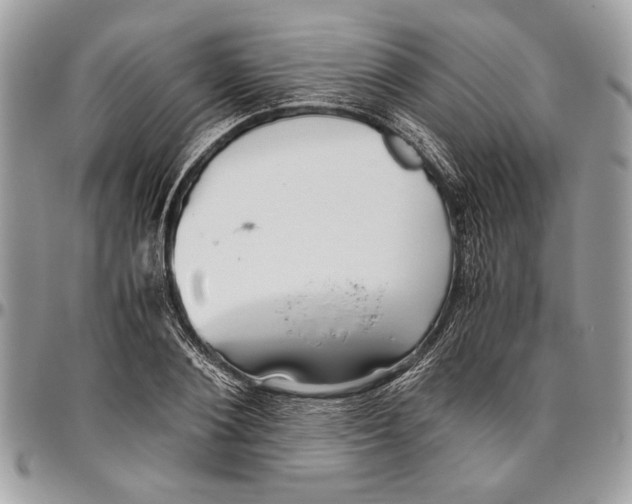 X0000096420884200802141632