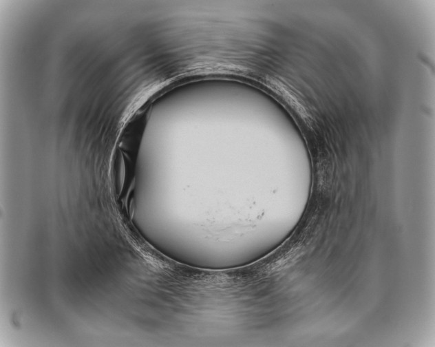 X0000096420885200802141632