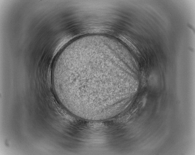 X0000096420886200802141632