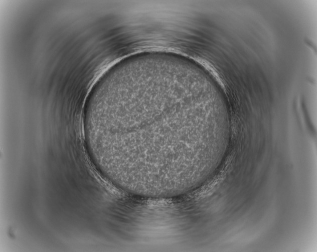 X0000096420887200802141632