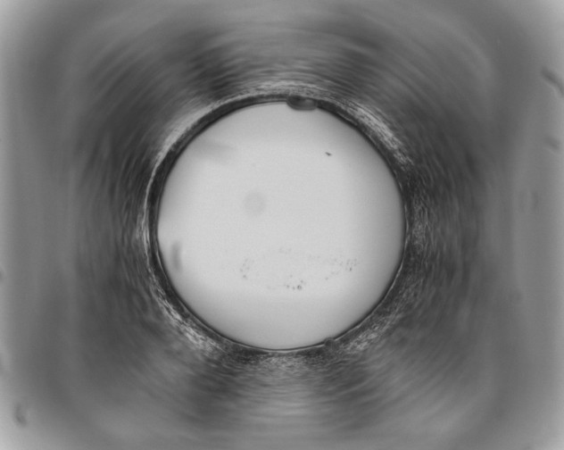 X0000096420888200802141632