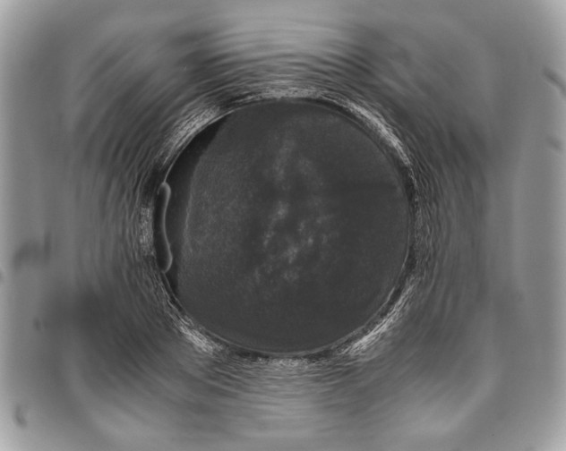 X0000096420889200802141632