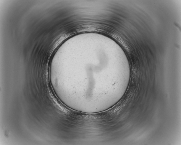 X0000096420890200802141632