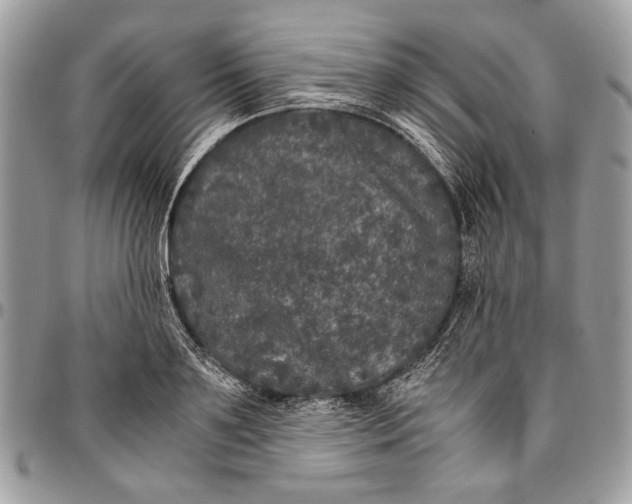 X0000096420891200802141632