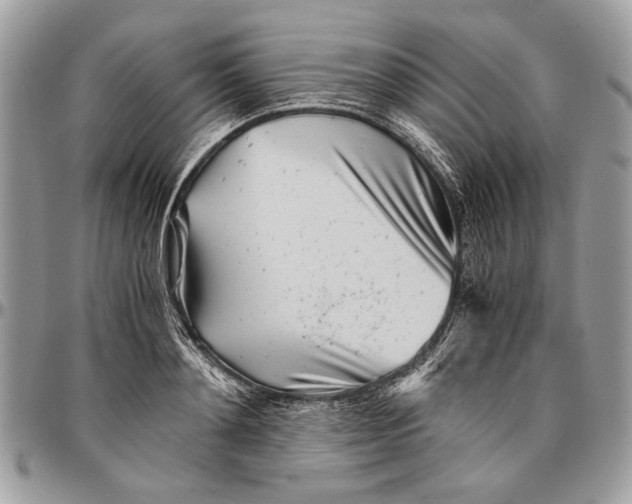 X0000096420892200802141631