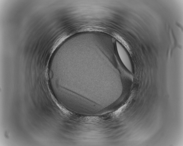 X0000096420893200802141631