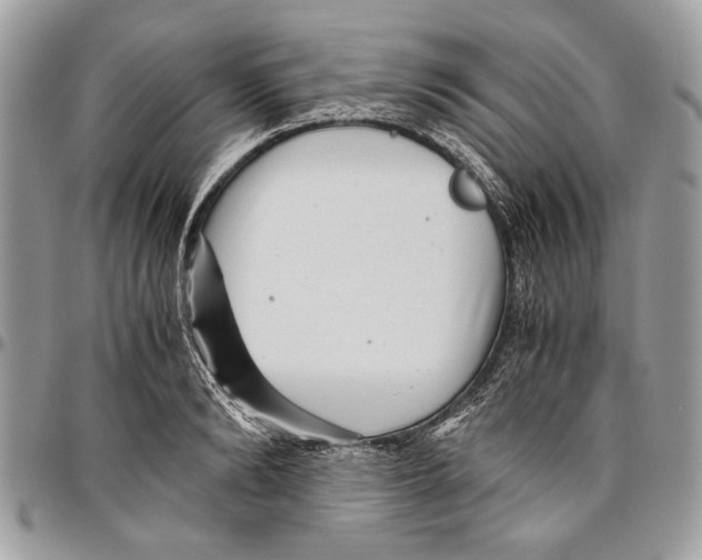 X0000096420894200802141631