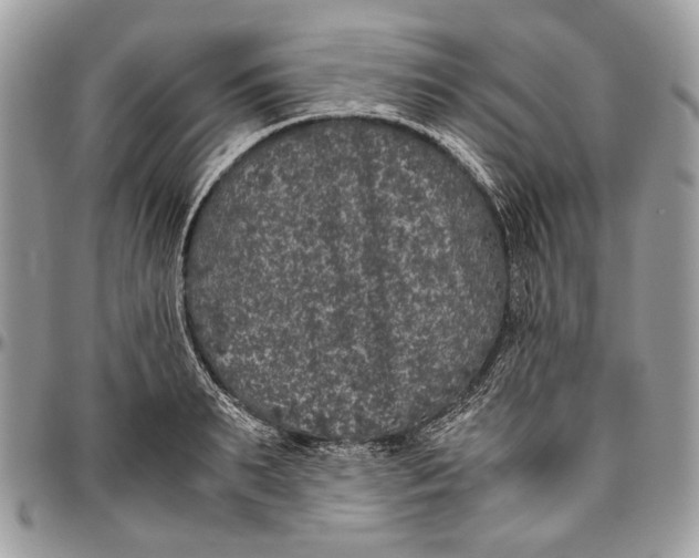 X0000096420895200802141631