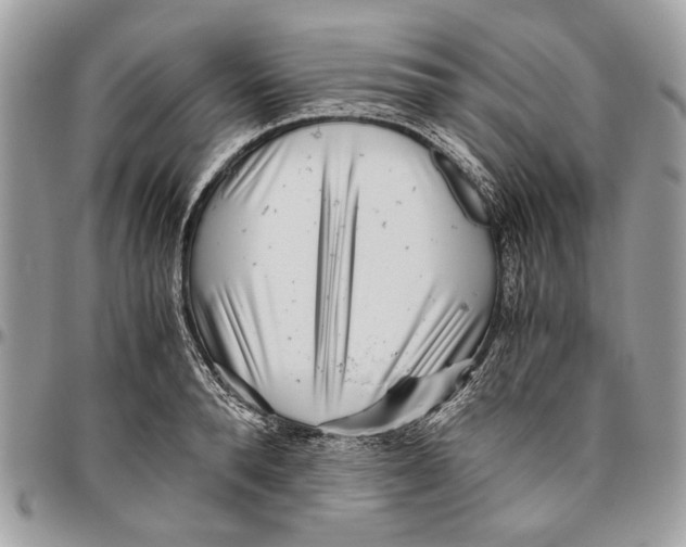 X0000096420896200802141631