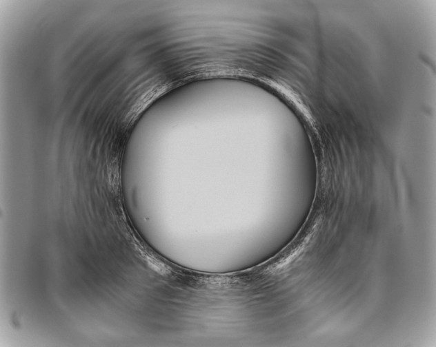 X0000096420897200802141631