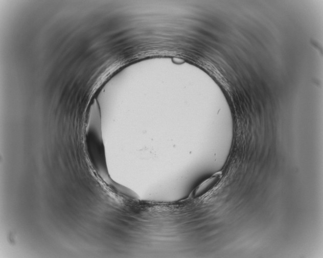 X0000096420898200802141631