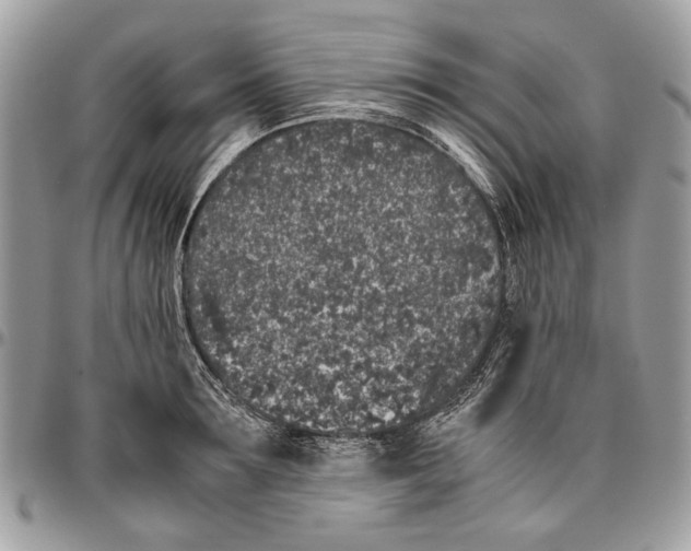 X0000096420899200802141631