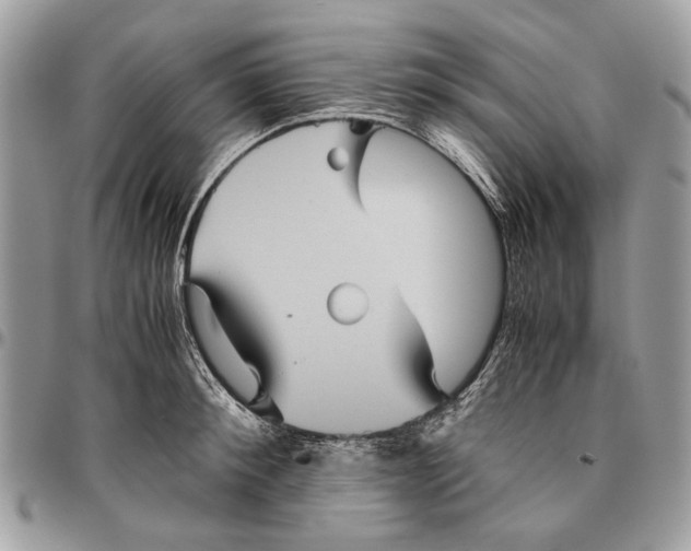 X0000096420900200802141631