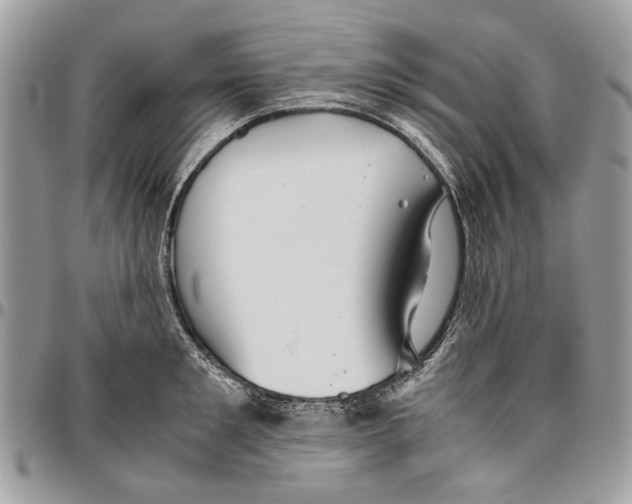 X0000096420901200802141631