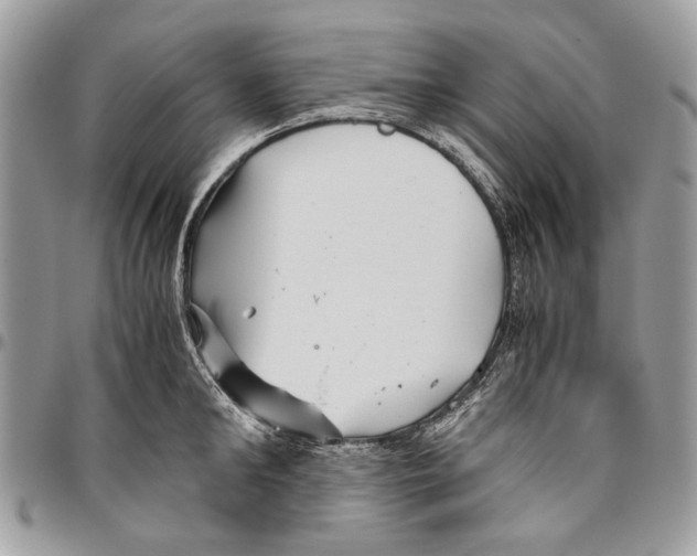 X0000096420902200802141631