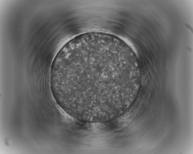 X0000096420903200802141631