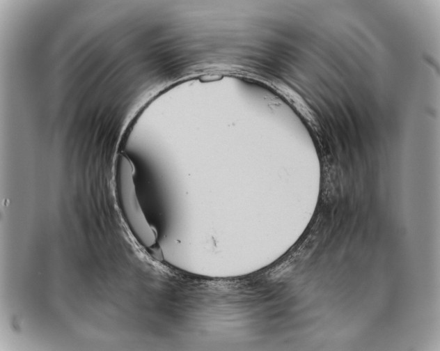 X0000096420904200802141631